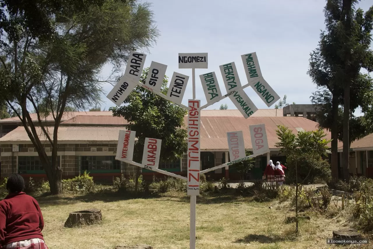 Kisomo Kenya image 1